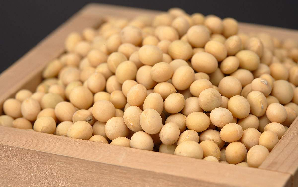 豆制品的這7點你未必知道